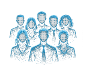 Meet The Team
