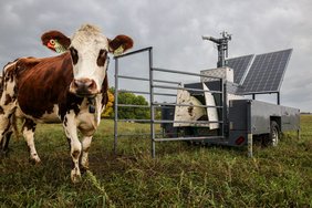 Image: New research compares respiration chamber and GreenFeed to measure feed efficiency in dairy cows