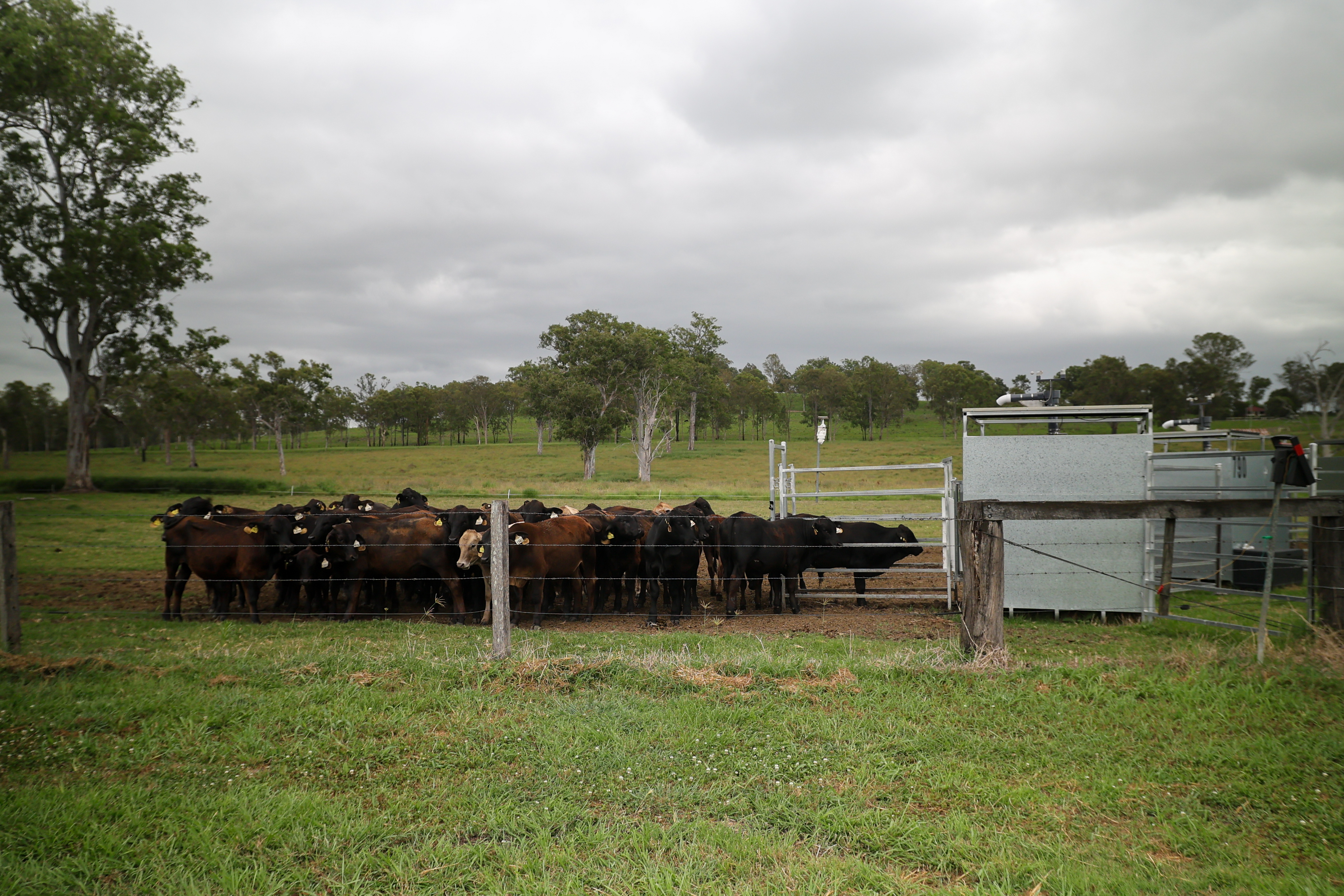 Image: C-Lock Inc. expands global footprint with launch of C-Lock Australia
