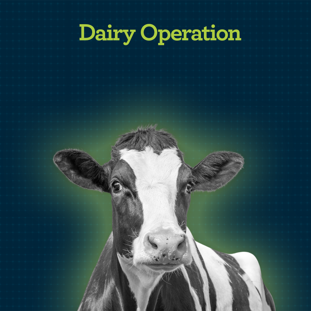 Learn More About Performance Management for Dairy