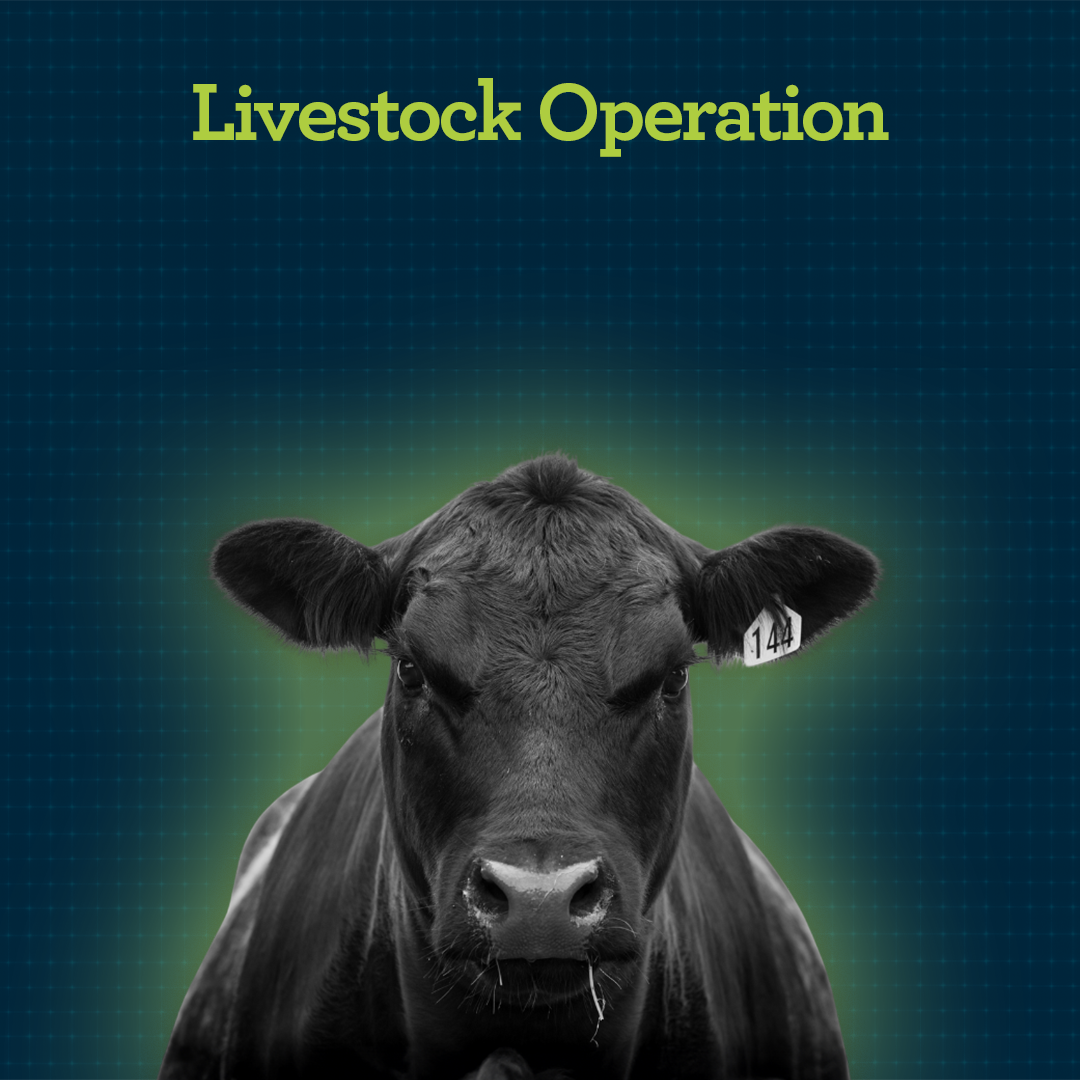 Learn More About Performance Management for Livestock